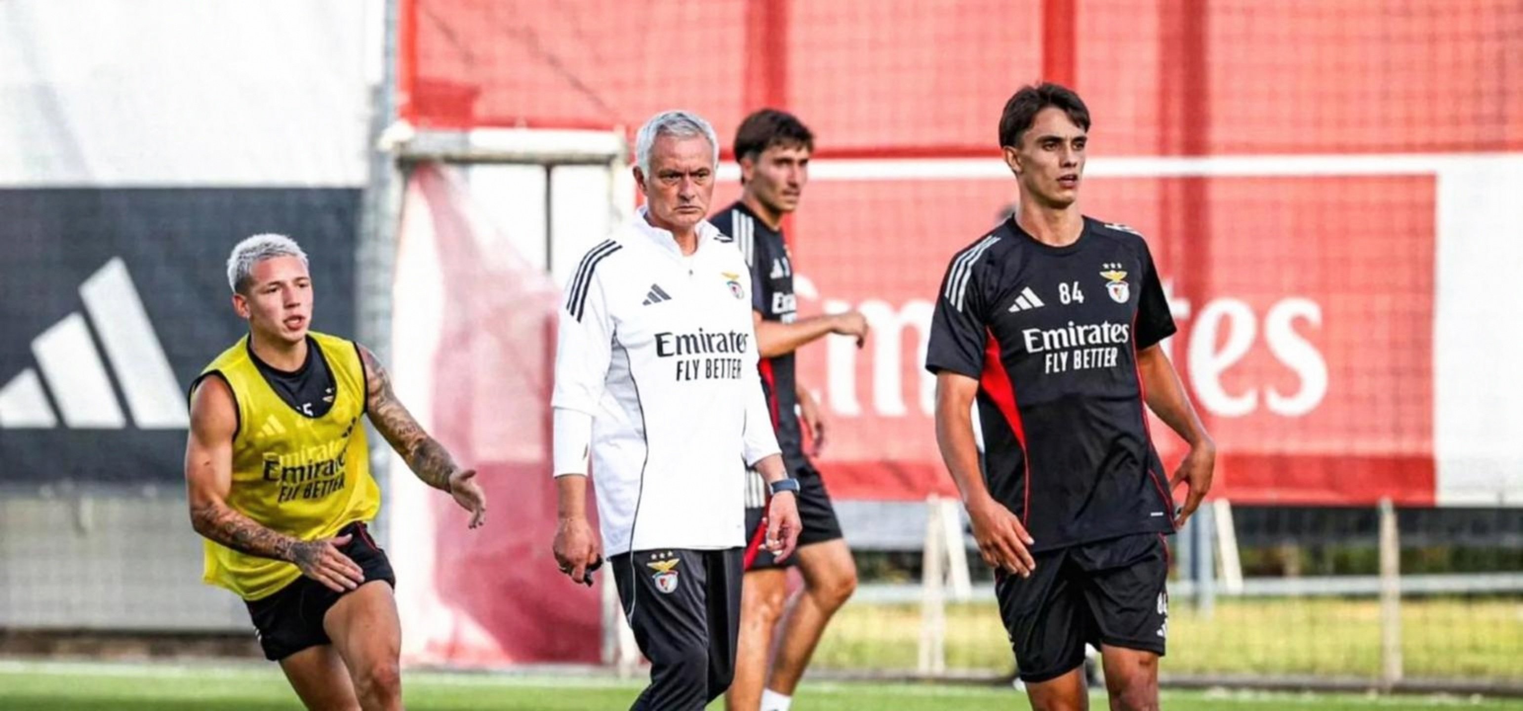 重磅！本菲卡止住颓势备战葡超广州队强势反弹备战NBA季后赛，曼联今晨官宣签约 